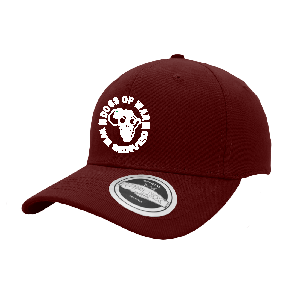 U-flex - 6 Panel branded Cap